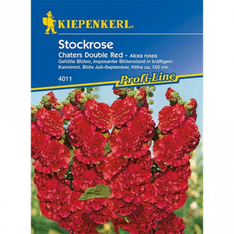 Stockrose Chaters Red interface.image 4