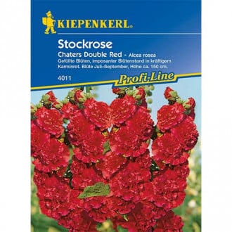 Stockrose Chaters Red interface.image 1