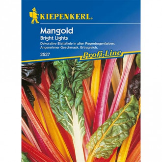 Mangold Bright Lights interface.image 1