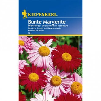 Bunte Margerite Mischung interface.image 1