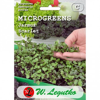 Microgreen - Grünkohl Scarlet rot interface.image 2