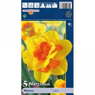 Narzisse Моnza interface.image 6