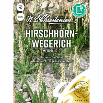 Hirschhornwegerich interface.image 1