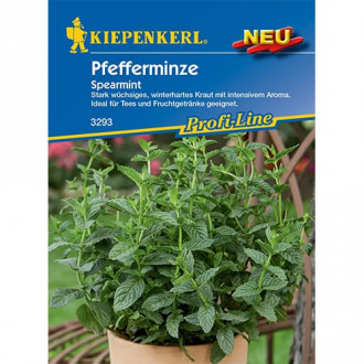 Pfefferminze Mehrjährig Spearmint Kiepenkerl interface.image 5