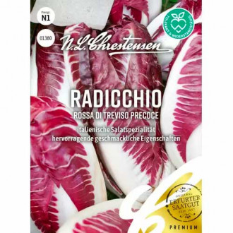 Radicchio Rossa di Treviso precoce Chrestensen  interface.image 6