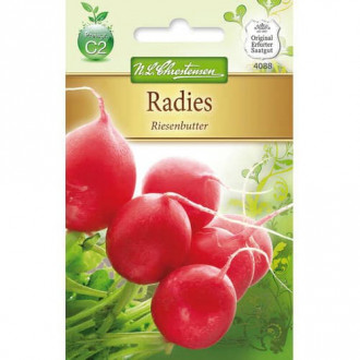 Radies Riesenbutter interface.image 1