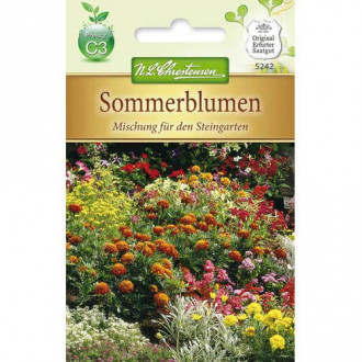 Steingarten Sommerblume interface.image 2