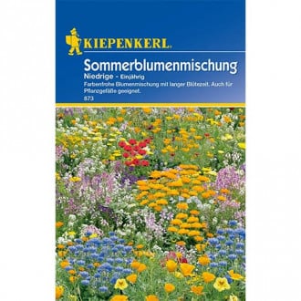 Blumenmischung Niedrige Sommerblumenmischung interface.image 1