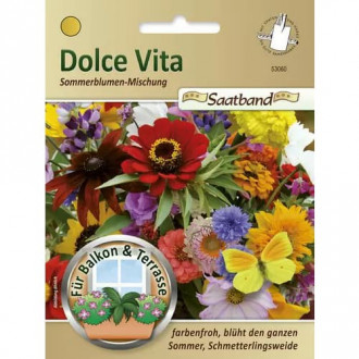 Sommerblumenmischung Dolce Vita interface.image 5