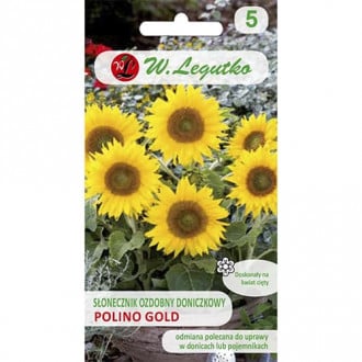 Sonnenblume Polino Gold interface.image 1