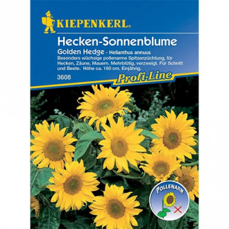 Sonnenblume Golden Hedge interface.image 6