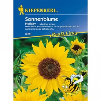 Sonnenblume Holiday interface.image 4