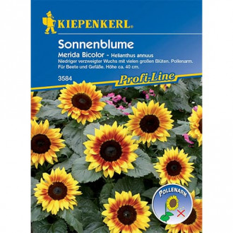 Sonnenblume Merida Bicolor interface.image 4