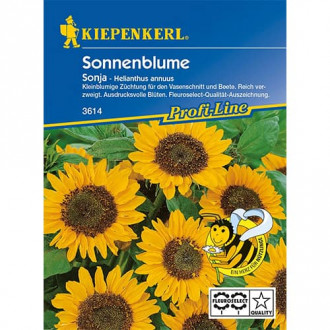 Sonnenblume Sonja F1 interface.image 6