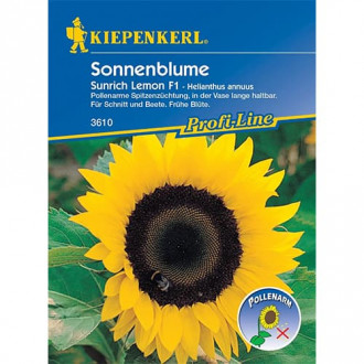 Sonnenblume Sunrich Lemon F1 interface.image 4