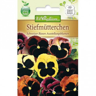 Stiefmütterchen Schweizer Riesen Ausstellungsblumen interface.image 1