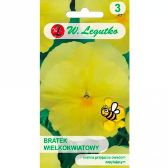 Stiefmütterchen Luna Legutko interface.image 5