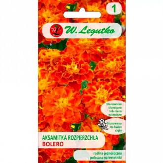 Studentenblume Bolero orange Legutko interface.image 1