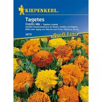 Tagetes Cresto Mischung interface.image 6