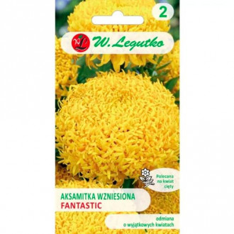 Tagetes Fantastic gelb Legutko interface.image 4