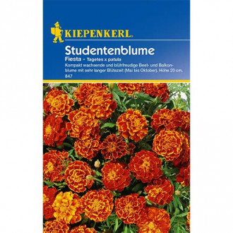 Tagetes Fiesta interface.image 6
