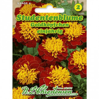 Studentenblume Goldköpfchen interface.image 3