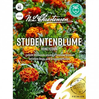 Steudentenblume Honeycomb interface.image 1