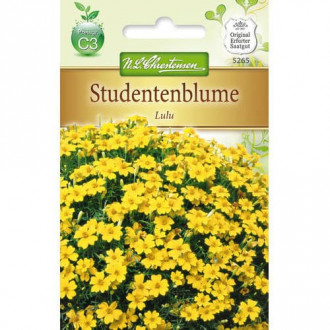 Studentenblume Lulu interface.image 5