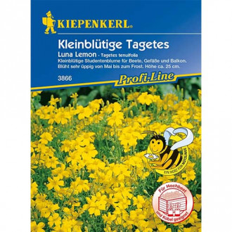 Tagetes Luna Lemon interface.image 6