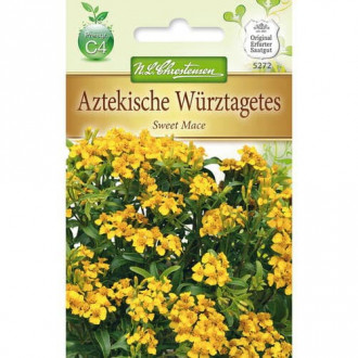 Würz-Tagetes Sweet Mace interface.image 5
