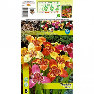 Tigerblume, Farbmischung interface.image 1