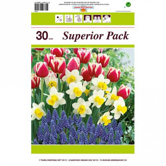 Tolles Angebot! Tulpe, Narzisse, Traubenhyazinthe, Set von 30 Knollen interface.image 4