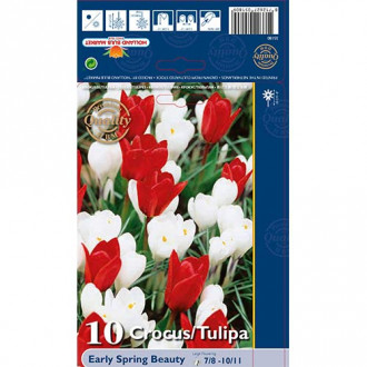 Tolles Angebot! Tulpe, Set von 10 Sorten interface.image 5
