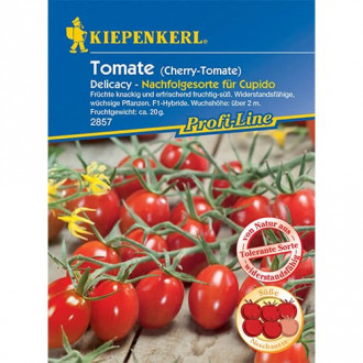 Cherrytomate Delicacy interface.image 6
