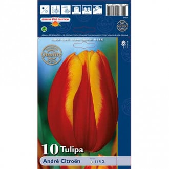 Tulpe Andre Citroen interface.image 4