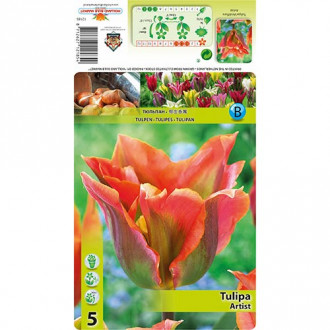 Tulpe Artist interface.image 6