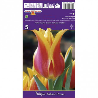 Tulpe Ballade Dream interface.image 2