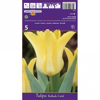Tulpe Ballade Gold interface.image 6