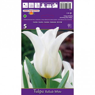 Tulpe Ballade White interface.image 4