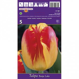 Tulpe Banja Luka interface.image 5