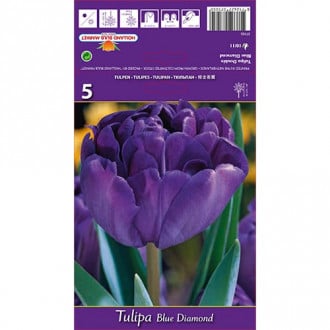 Tulpe Blue Diamond interface.image 5