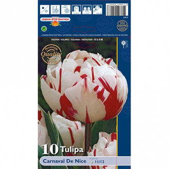 Tulpe Carnaval de Nice interface.image 1