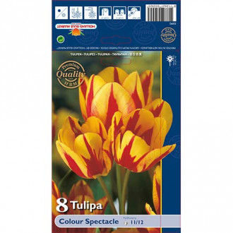 Tulpe Colour Spectacle interface.image 2