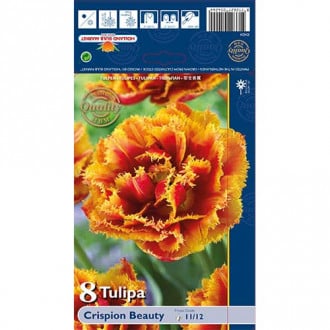 Tulpe Crispion Beauty interface.image 2