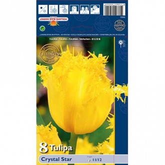 Tulpe Crystal Star interface.image 5