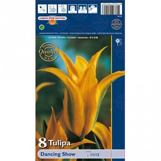 Tulpe Dancing Show interface.image 2