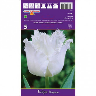 Tulpe Daytona interface.image 6