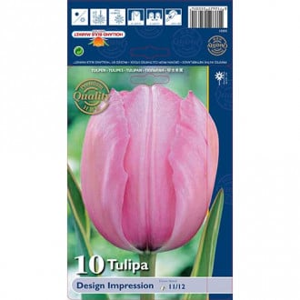 Tulpe Design Impression interface.image 5