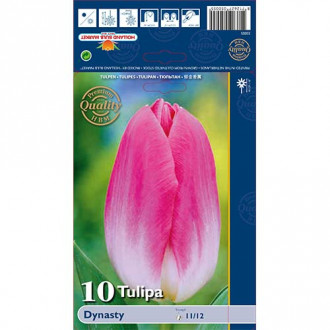 Tulpe Dynasty interface.image 4