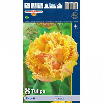 Tulpe Esprit interface.image 5